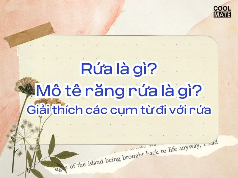 Rứa là gì? Mô tê răng rứa là gì? Giải thích các cụm từ đi với rứa - Coolmate