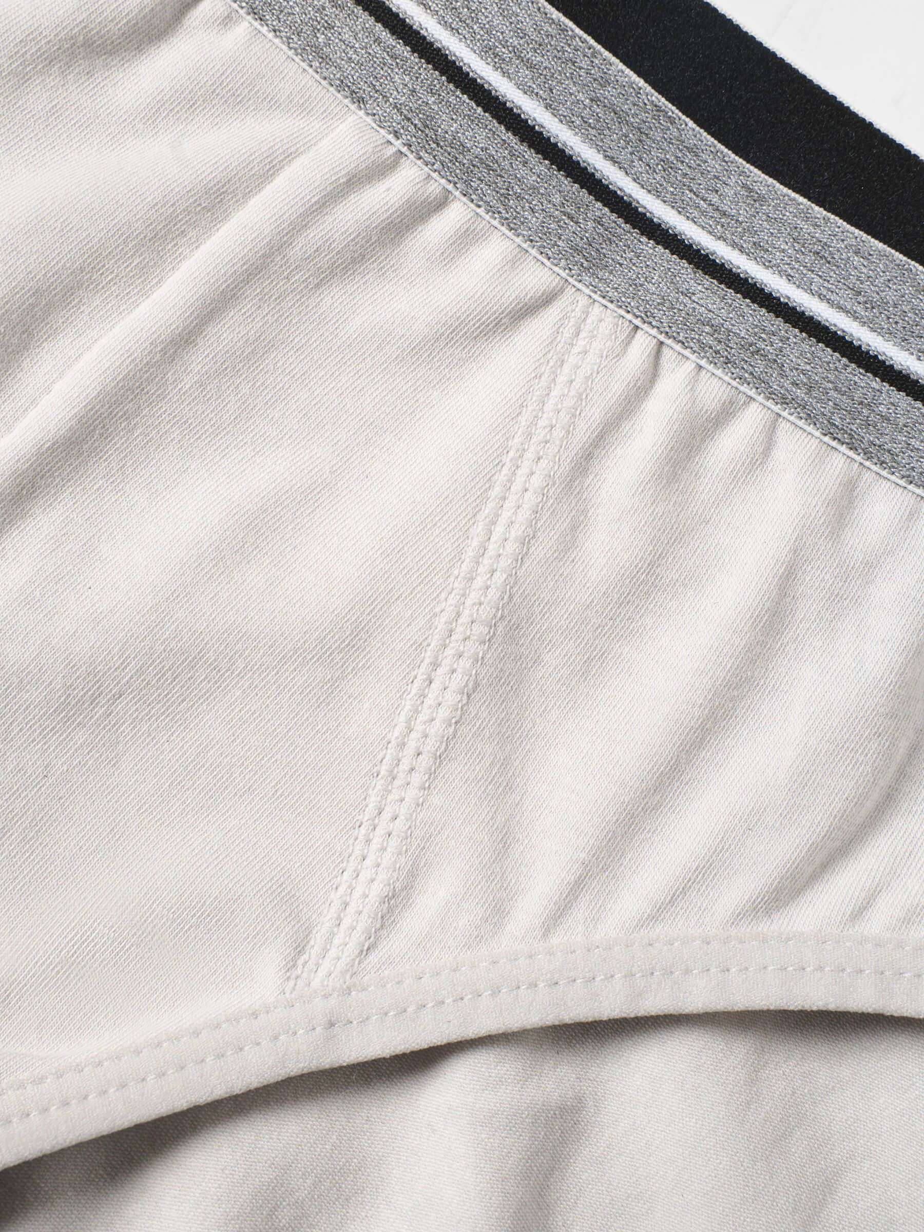 Pack 5 Quần Lót Nam Brief Cotton Basics  4