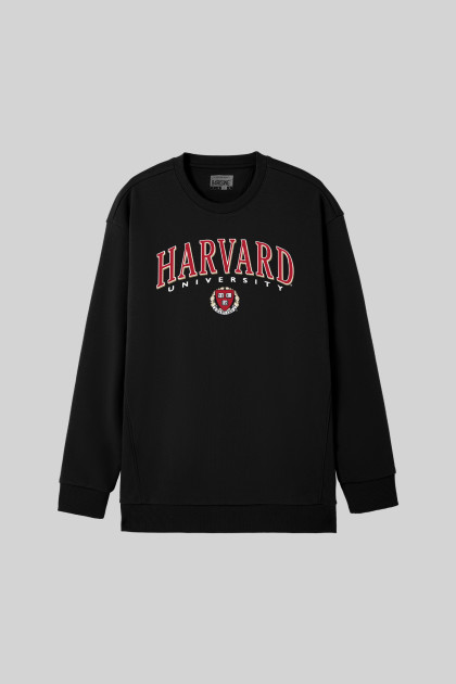 Áo nỉ French Terry Oversize 84RISING in Harvard University Mark
