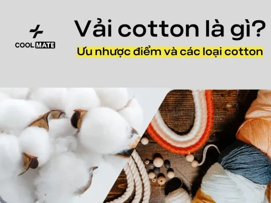 Vải cotton là gì? Ưu nhược điểm và các loại cotton hiện nay