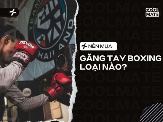 Nên Mua Găng Tay Boxing Loại Nào: Cẩm Nang Chọn Găng Chuẩn Chuyên Gia