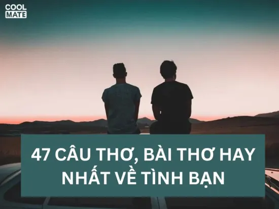 Tổng hợp những câu thơ, bài thơ hay nhất về tình bạn