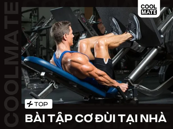TOP 15+ Bài Tập Cơ Đùi Tại Nhà Giúp Chân Săn Chắc, Giảm Mỡ