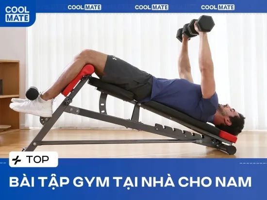 20 Bài Tập Gym Tại Nhà Cho Nam Hiệu Quả Nhất