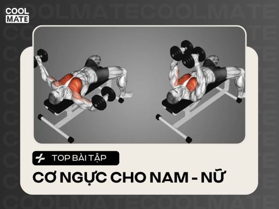 17+ Bài Tập Cơ Ngực Tại Phòng Gym Cho Nam, Nữ Hiệu Quả Nhất