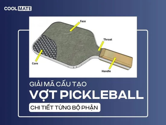 Cấu Tạo Vợt Pickleball: Giải Mã Chi Tiết Từng Bộ Phận