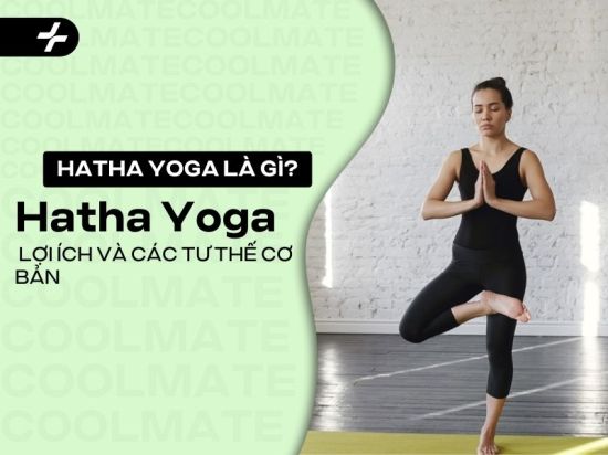 Hatha Yoga là gì? Lợi ích và các tư thế Hatha Yoga cơ bản