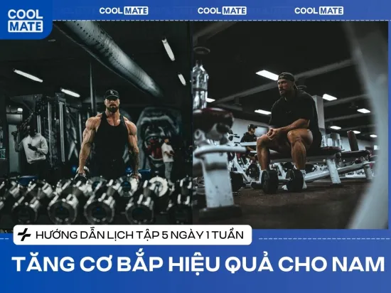 Lịch Tập Gym 5 Ngày 1 Tuần Cho Nam Giúp Tăng Cơ Bắp Hiệu Quả