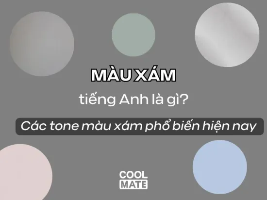 Màu xám tiếng anh là gì? Các tone màu xám phổ biến hiện nay 