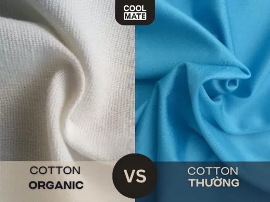 Sự khác biệt giữa vải cotton organic và vải cotton thường