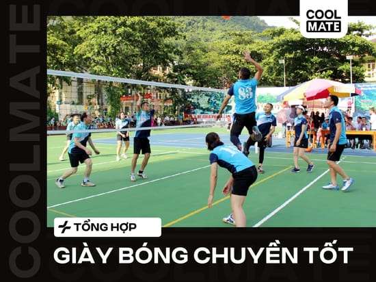 Top 10+ Giày Bóng Chuyền Tốt Nhất 2024: Chọn Chuẩn Mọi Vị Trí