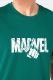 Áo Thun Nam Marvel Big Logo Hulk 5