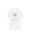 Quà tặng đơn 499k - Áo thun Cotton Compact Hoa Cúc Mini 4