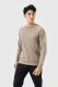 Áo Sweatshirt Thể Thao Active nau