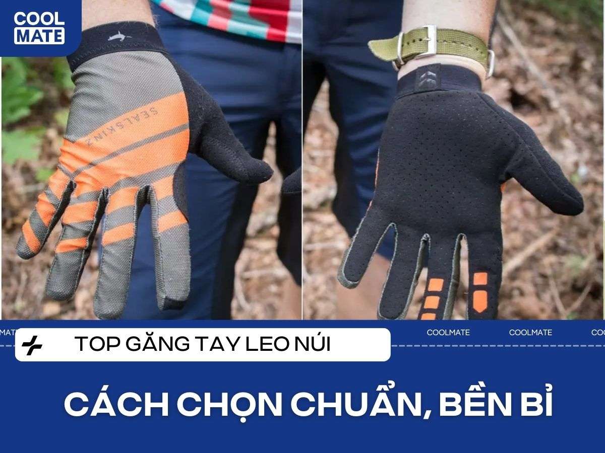Top Găng Tay Leo Núi 2025: Chọn Chuẩn, Bền Bỉ, Chinh Phục Đỉnh Cao