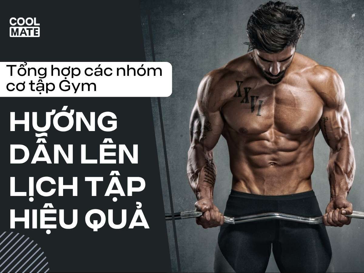 Tổng Hợp Các Nhóm Cơ Tập Gym & Hướng Dẫn Lên Lịch Tập Hiệu Quả