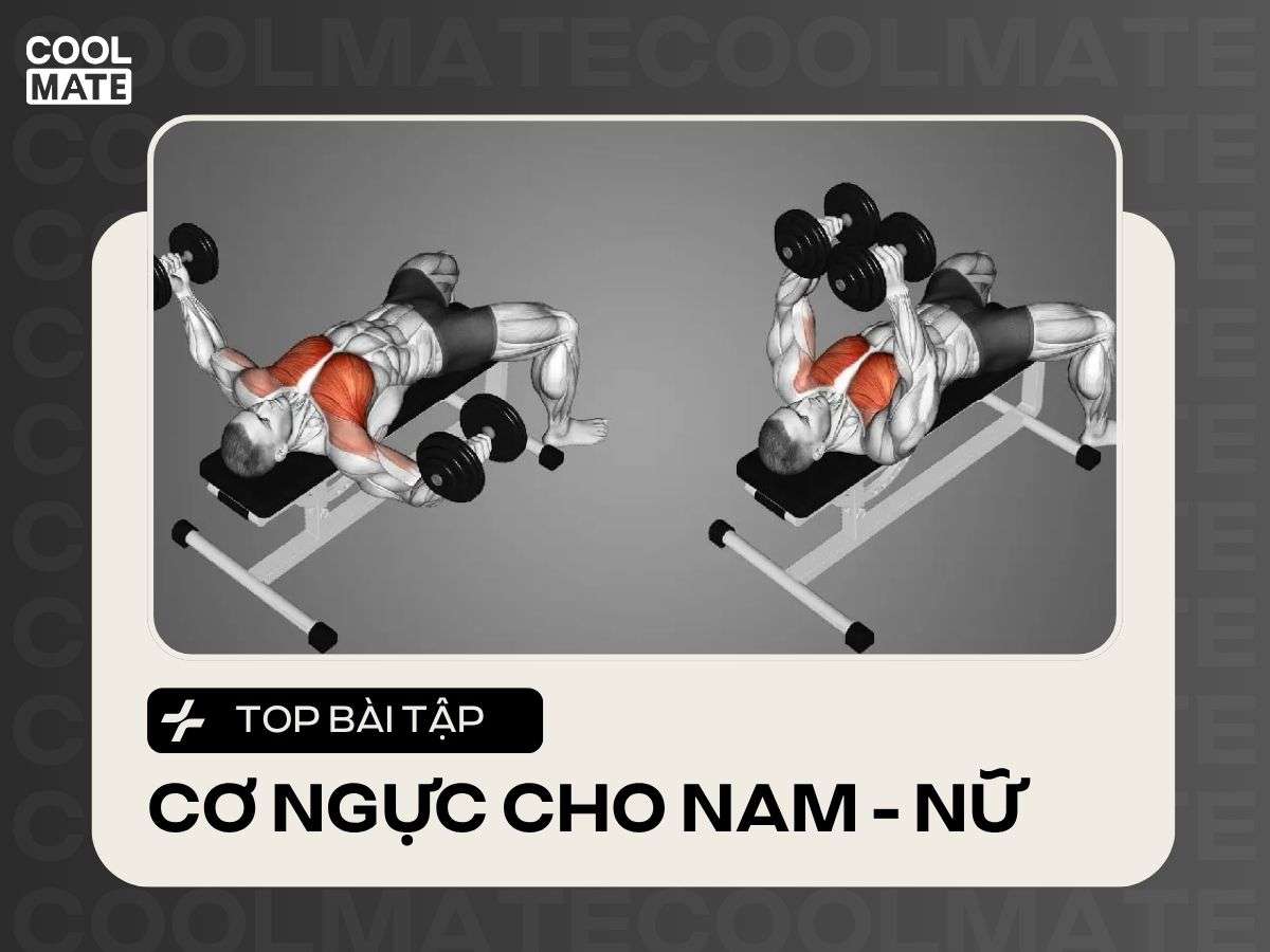 17+ Bài Tập Cơ Ngực Tại Phòng Gym Cho Nam, Nữ Hiệu Quả Nhất